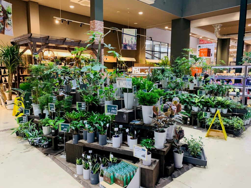 カインズの植物コーナー